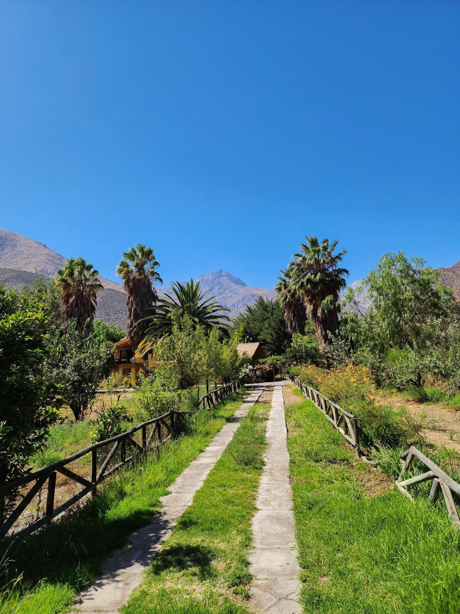Apartamento Valle Del Elqui, Diaguita